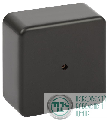 Коробка распаячная 100х100х50мм без клеммы IP40 черн. BS-B-100-100-50 Эра Б0061805
