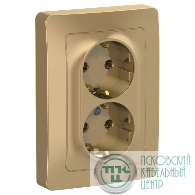 Розетка 2-м СП Blanca 16А IP20 250В с заземл. без защ. шторок титан SE BLNRS001024
