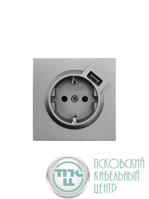 Розетка 1-мест. с/з+USB разъем СП ZIMA IP20 сер. матов. LEZARD 704-7488-181