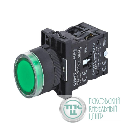 Кнопка управления NP2-EW3365 1НО+1НЗ AC/DC 230В (LED) IP40 зел. (R) CHINT 575718