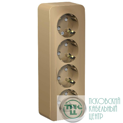 Розетка 4-м ОП Blanca 16А IP20 250В с заземл. защ. шторки с изолир. пластиной титан SE BLNRA011414
