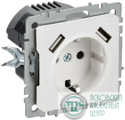 Розетка BRITE РЮш10-2-БрАБ 16А с USB A+A 3.1А с заземл. защ. шторки механизм арктич. бел. IEK BR-R14-16-U21-D31-K91