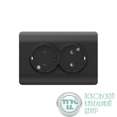 Розетка 2-м NEW3-E с заземл. защ. шторки 16А черн. CHINT 431491