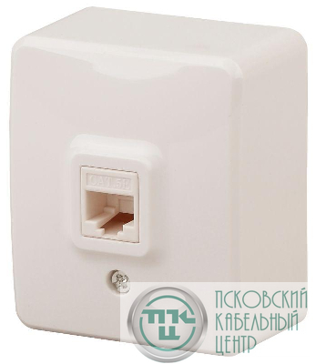 Розетка информационная RJ45 ОП 11-3203-02 Эксперт сл. кость ЭРА Б0020731