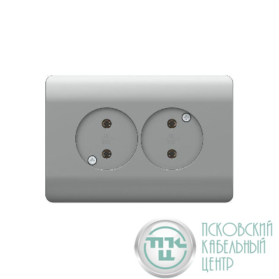 Розетка 2-м NEW3-E без заземл. защ. шторки 16А серебр. CHINT 431421