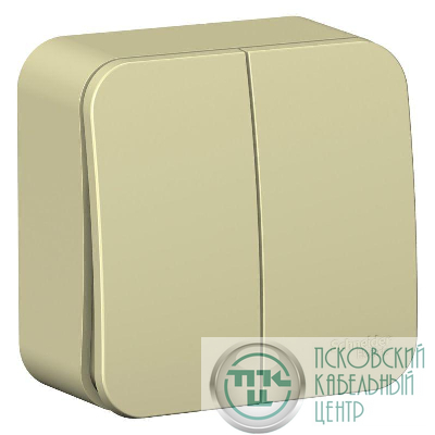 Выключатель 2-кл. ОП Blanca 10А IP20 (сх. 5) 250В с изолир. пластиной беж. SE BLNVA105017