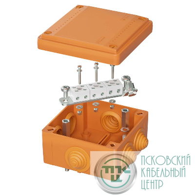 Коробка ответвительная FS 100х100х50мм IP55 6п 450В 6А 4кв.мм с кабельными вводами и клеммниками пластик. DKC FSB11604