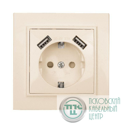 Розетка 1-м СП Минск 16А IP20 с заземл. защ. шторки с 2-мя заряд. устройствами USB 2.1А беж. EKF ERR16-028-200-2USB