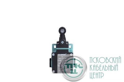 Выключатель концевой L2K13MEP121 EMAS L2K13MEP121
