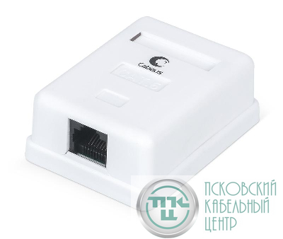 Розетка компьютерная одинарная внешняя WS-8P8C-Cat.6-1 RJ-45(8P8C) кат.6 Dual IDC Cabeus 7481c