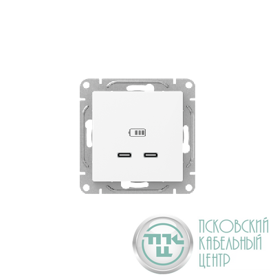 Розетка 2-м СП Эпика USB-C механизм бел. EKF UP1-SOW-2USBC