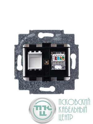 Розетка информационная Levit RJ45 кат. 5e и заглушка бел. ABB 2CHH295117A6003