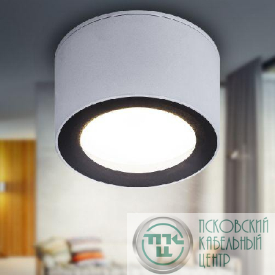 Светильник OL28 WH/BK GX53 IP44 настен./потолочн. спот черн./бел. Эра Б0055581