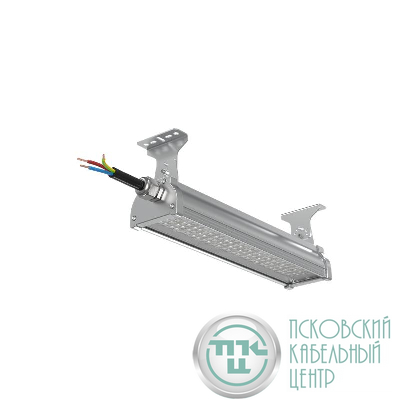 Светильник светодиодный ДСП WP 24 C 30W VW 840 L400 EL SI CL 400х220х190мм 30Вт 4000К IP66 пылевлагозащ. Русский Свет 27072423955