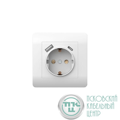 Розетка NEW3-E 16А с заземл. защ. шторки с 2-мя заряд. устройствами USB A+C 5В/2.1А бел. CHINT 431552