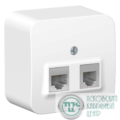 Розетка компьютерная + телефонная 2-м ОП Blanca RJ45 кат.5E + RJ11 с изолир. пластиной бел. SE BLNIA045111