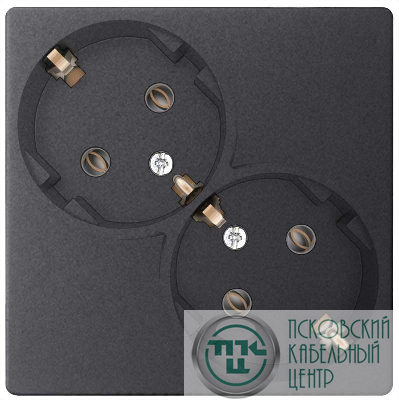 Розетка 2-м СП Simon 24 16А IP20 2х2P+E Schuko без защ. шторок механизм графит Simon 2450459-038