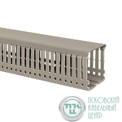 Кабель-канал перфорированный 100х80 L2000 EKF kk100-80
