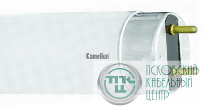 Лампа люминесцентная FT8-15W/54 15Вт T8 6500К G13 Camelion 3007