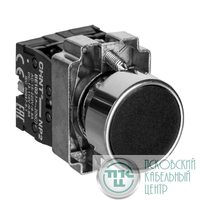 Кнопка управления NP2-BA25 без подсветки 1НО+1НЗ IP40 (R) черн. CHINT 573962