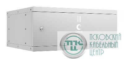 Шкаф телекоммуникационный настенный разборный LIGHT WSC-05D-4U55/45m 19дюйм 4U дверь метал. сер. Cabeus 10185c