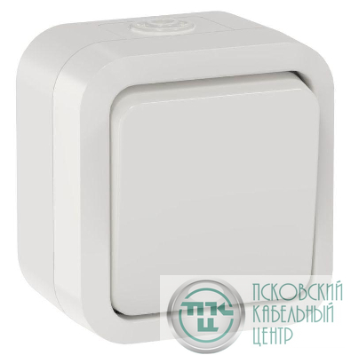 Переключатель 1-кл. ОП TORS 10А IP55 TS301 бел. IEK TS-V10-0-10-55-K01