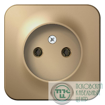 Розетка 1-м ОП Blanca 16А IP20 250В без заземл. без защ. шторок титан SE BLNRA000104
