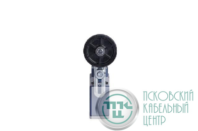 Выключатель концевой L51K13MEL122 EMAS L51K13MEL122