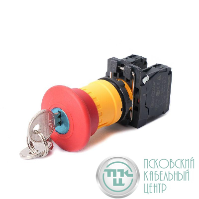 Кнопка аварийного останова SB5 в сборе 22мм 40мм 1НО+1НЗ ключ пластик SE SB5AS9445