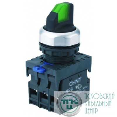 Переключатель без подсветки NP8-11X/213 2 полож. с фиксацией зел. 1НО+1НЗ IP65 (R) CHINT 667132