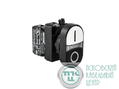 Кнопка сдвоенная (1НО+1НЗ) (CP) черн./бел. EMAS CP102K20HB