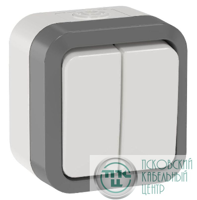 Выключатель проходной 2-кл. ОП TORS 10А IP55 TS225 сер-бел IEK TS-V22-0-10-55-K41