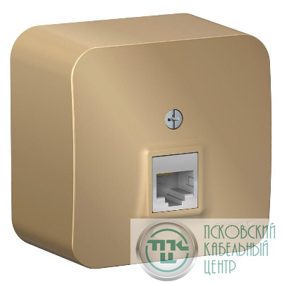 Розетка компьютерная 1-м ОП Blanca RJ45 кат.5E с изолир. пластиной титан SE BLNIA045004