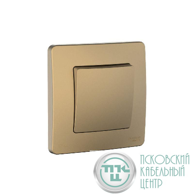 Переключатель 1-кл. СП Blanca 10А IP44 (сх.6) 250В титан SE BLNVS410604