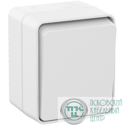 Выключатель 1-кл. ОП AtlasDesign PROFI IP54 10AX бел. SE ATN540111