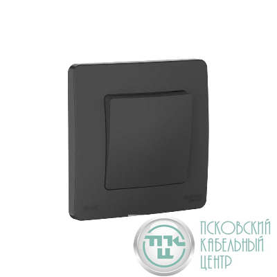 Переключатель 1-кл. СП Blanca 10А IP44 (сх.6) 250В антрацит SE BLNVS410606