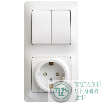 Блок комбинированный Glossa (розетка защ. шторки с заземл.+ 2-кл. выкл.) бел. SE GSL000174