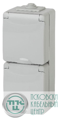 Розетка ОП 2х2P+E 11-2608-03 16А-250В верт. с защ. шторками IP65 сер. ЭРА Б0036003