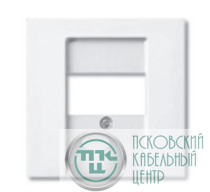 Накладка розетки компьютерной Basic-55 альп. бел. ABB 2CKA001724A4275