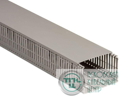 Кабель-канал перфорированный 100х60 L2000 пластик ИМПАКТ серия М (7х11) IEK CKM50-100-060-1-K03