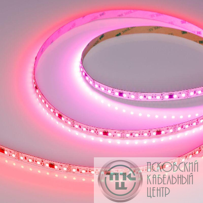 Лента светодиодная SPI-A120-10mm 24V RGB-PX6-BPT 23Вт/м IP20 2835 бегущий огонь (уп.5м) Arlight 046871