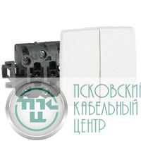 Выключатель кнопочный OTEO двойной в компл. 6А 250В комб. Leg 086121