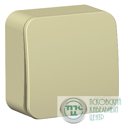 Выключатель 1-кл. ОП Blanca 10А IP20 (сх. 1) 250В с изолир. пластиной беж. SE BLNVA101017