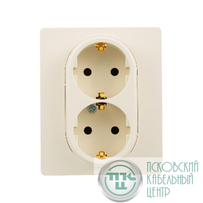Розетка 2-м СП Etika 2К+З 16А с заземл. винт. зажимы в сборе сл. кость. Leg 672323
