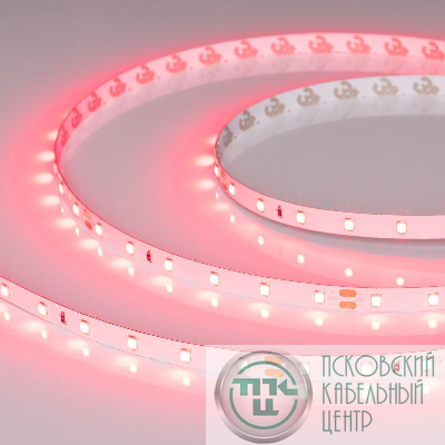 Лента светодиодная RT-A60-8mm 24В Ruby 4.8Вт/м IP20 (уп.5м) Arlight 055374