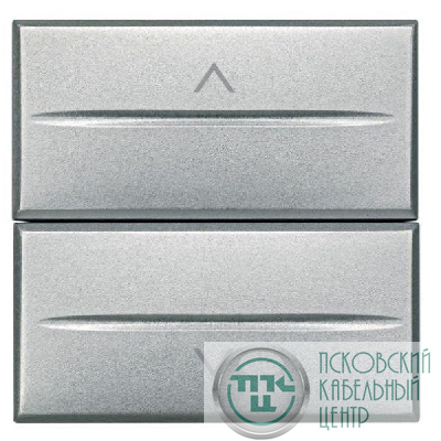 Выключатель для жалюзи кнопочный 2-кл. 2мод. Axolute Axial 10А 250В 1Р(NO)+ 1Р(NO) алюм. Leg BTC HC4037/2