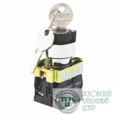 Переключатель NP2-BG33 3 полож. с фиксацией 2НО IP40 CHINT 574855