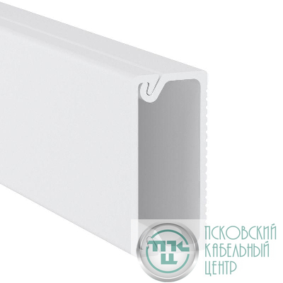 Кабель-канал 22х10 L2000 пластик TMC розн. (уп.8шт) DKC 00317R