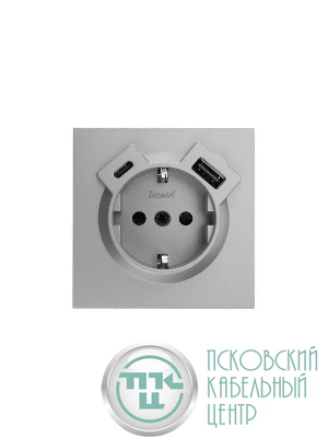 Розетка 1-мест. с/з Type-C+USB разъем СП ZIMA IP20 сер. матов. LEZARD 704-7488-181TC