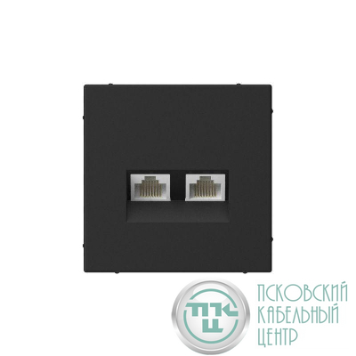 Розетка компьютерная 2-м ArtGallery RJ45 + RJ45 кат.5E механизм карбон SE GAL001085